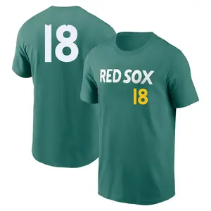 Youth Ali Sanchez Boston Red Sox Green 2025 City Connect Fuse Game Day Name & Number T-Shirt