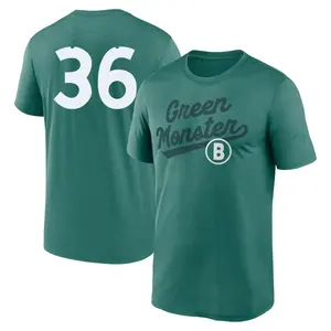 Youth Eduardo Nunez Boston Red Sox Green 2025 City Connect Team Phrase Script Performance Game Day Name & Number T-Shirt
